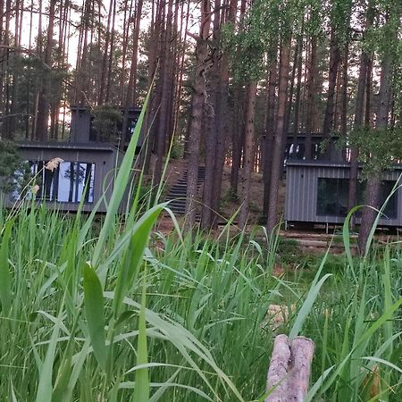 Gaujaclub - Our Bose And Bang&Olufsen Lofts On A Lake Gauja  エクステリア 写真