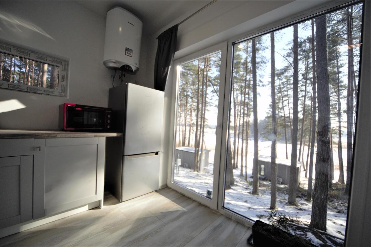 Gaujaclub - Our Bose And Bang&Olufsen Lofts On A Lake Gauja  エクステリア 写真
