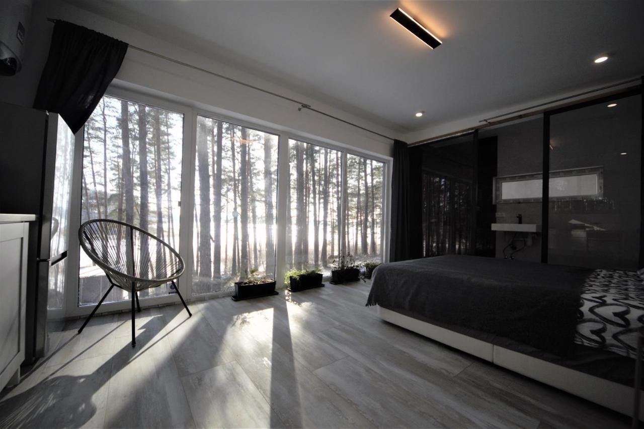Gaujaclub - Our Bose And Bang&Olufsen Lofts On A Lake Gauja  エクステリア 写真