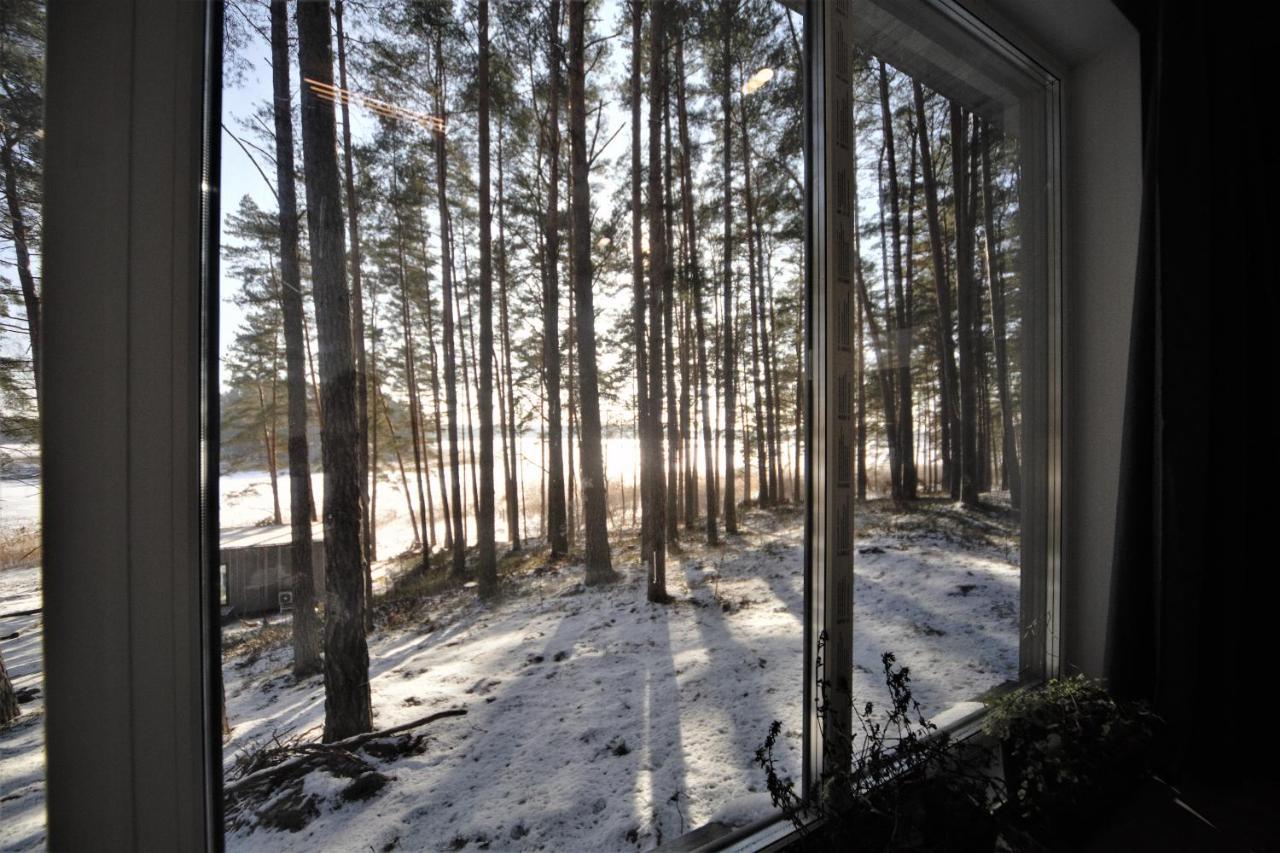 Gaujaclub - Our Bose And Bang&Olufsen Lofts On A Lake Gauja  エクステリア 写真