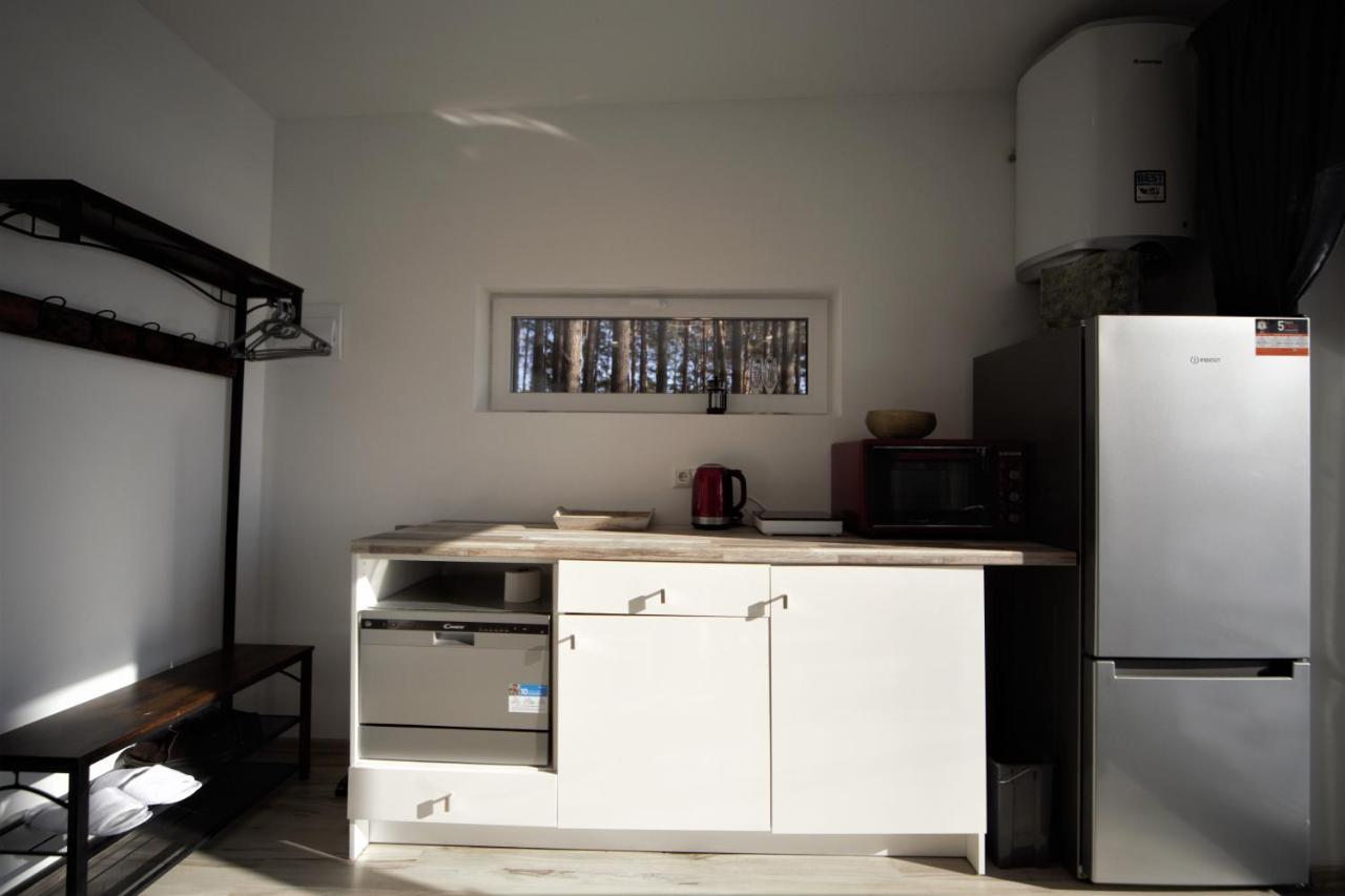 Gaujaclub - Our Bose And Bang&Olufsen Lofts On A Lake Gauja  エクステリア 写真