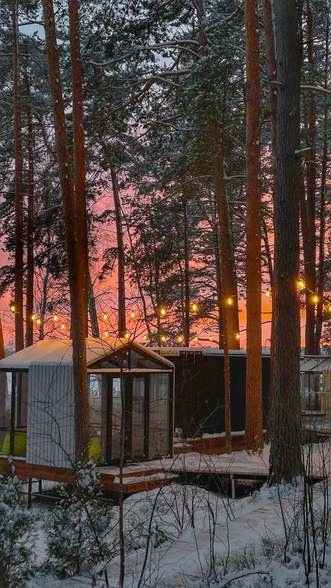 Gaujaclub - Our Bose And Bang&Olufsen Lofts On A Lake Gauja  エクステリア 写真