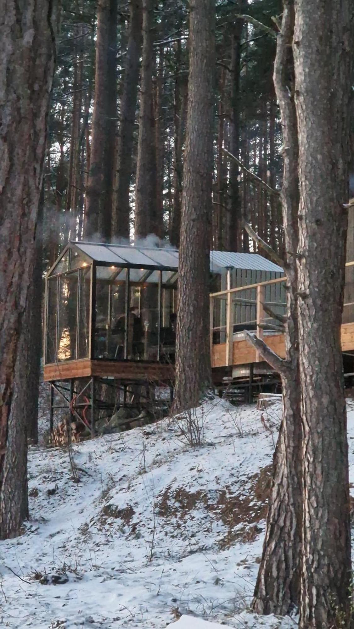 Gaujaclub - Our Bose And Bang&Olufsen Lofts On A Lake Gauja  エクステリア 写真