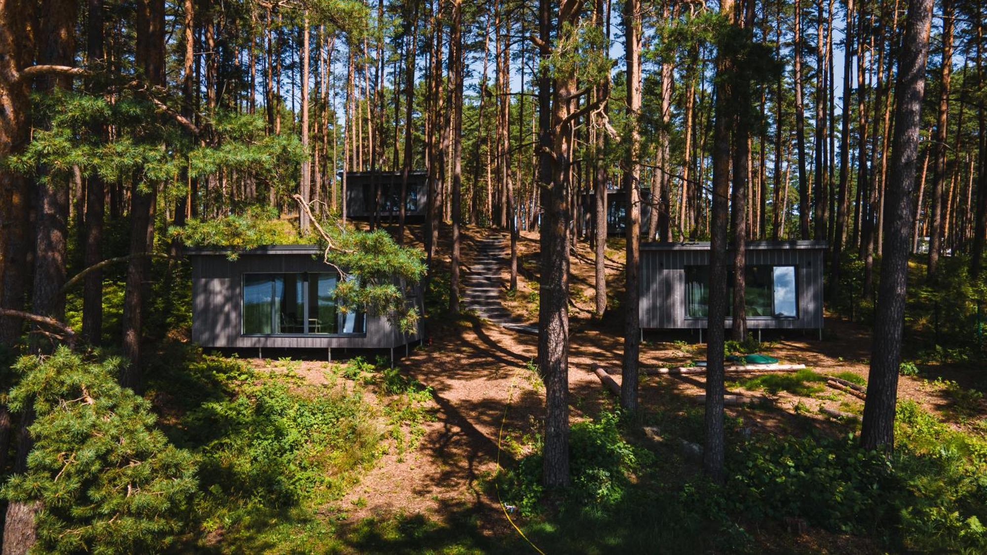 Gaujaclub - Our Bose And Bang&Olufsen Lofts On A Lake Gauja  エクステリア 写真