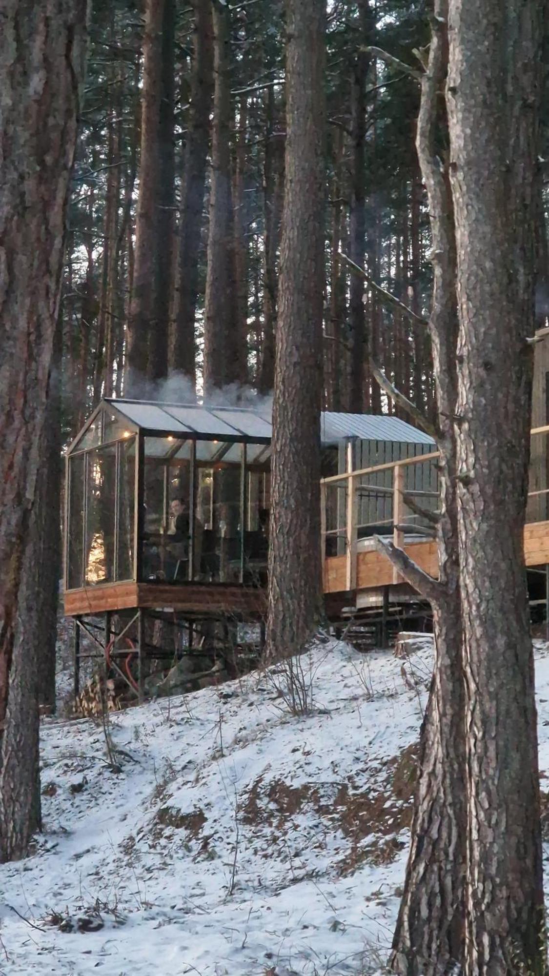 Gaujaclub - Our Bose And Bang&Olufsen Lofts On A Lake Gauja  エクステリア 写真