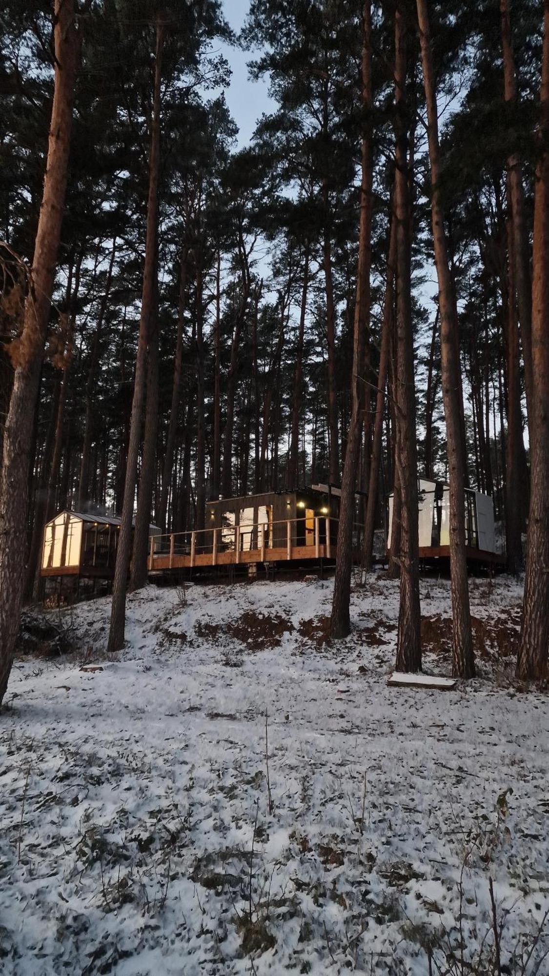 Gaujaclub - Our Bose And Bang&Olufsen Lofts On A Lake Gauja  エクステリア 写真
