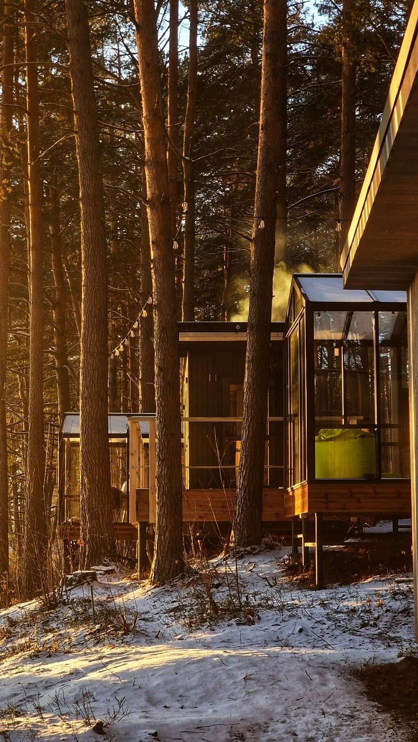 Gaujaclub - Our Bose And Bang&Olufsen Lofts On A Lake Gauja  部屋 写真