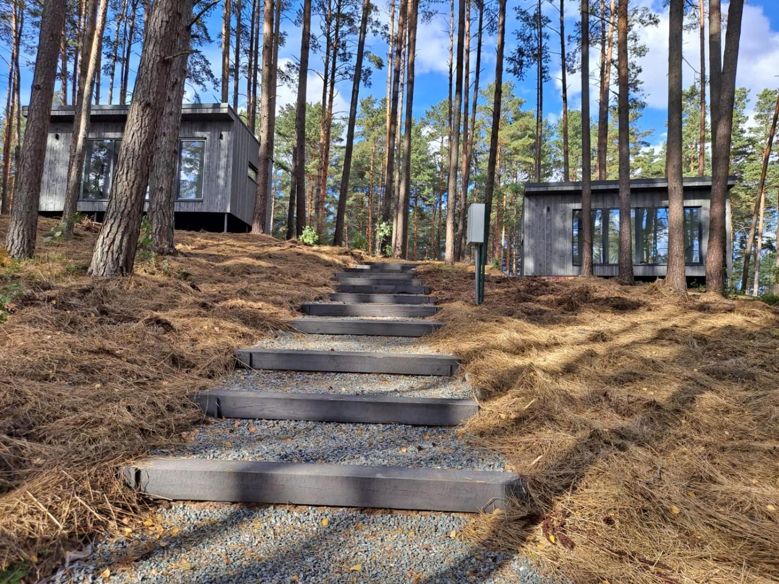 Gaujaclub - Our Bose And Bang&Olufsen Lofts On A Lake Gauja  部屋 写真